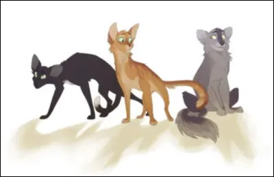 Quel grade aimerais-tu avoir ?