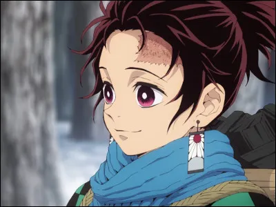 Quel animal accompagne Tanjiro pour lui donner ses missions ?