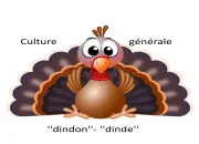 Quiz Dindon, dinde