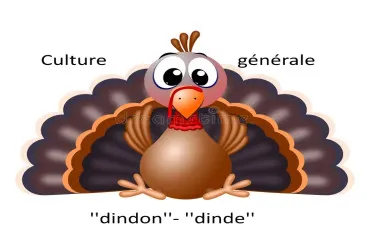 Quiz Culture g�n�rale