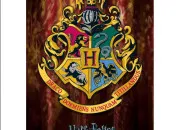 Test Ta vie invent�e dans Harry Potter