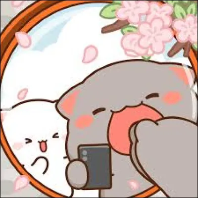 Quelle qualit&eacute; te d&eacute;finit le plus ? (2)