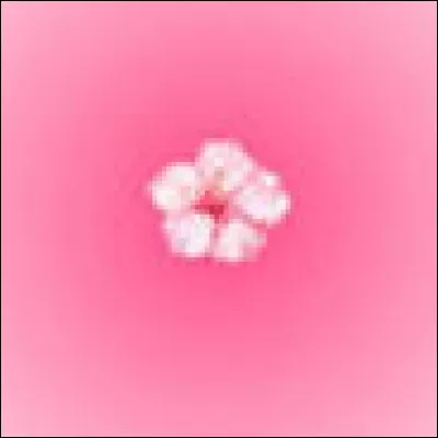 Quelle est ta couleur pr&eacute;f&eacute;r&eacute;e ? Partie 2