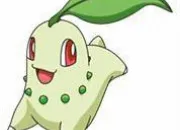 Quiz Les familles de Pokémon