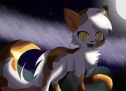 Quiz Quiz sur Petite Feuille