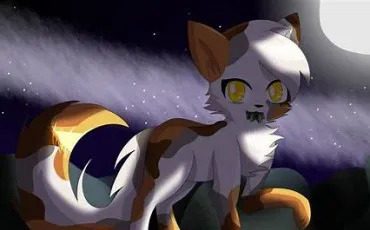 Quiz Litt�rature, po�sie