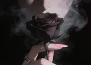 Test Quelle citation es-tu ?