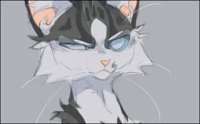 Et ce gu&eacute;risseur grognon ?