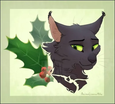 Et cette belle guerri&egrave;re noire ?