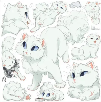 Et ce guerrier blanc bon pisteur ?