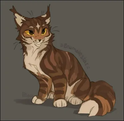 Et lui ? Qui est-il ?