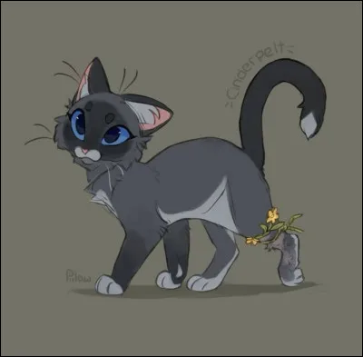 Et cette jeune gu&eacute;risseuse ?