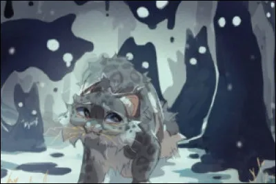 Et ce vieux gu&eacute;risseur fou ?