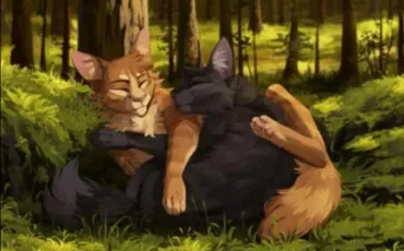 Quiz Litt�rature, po�sie