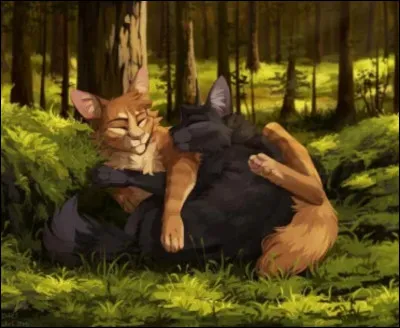 L�un a fait partie d�une proph&eacute;tie et l�autre a &eacute;t&eacute; gu&eacute;risseuse dans l�ancien territoire. Il s'agit de...