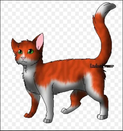 Elle est une ancienne chatte errante et est maintenant cheffe du clan tandis que lui est un ancien chat domestique. Quel est ce couple ?