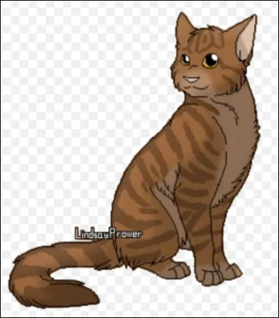 Elle vient du Clan de la Rivi&egrave;re et lui du Clan de Vent. Qui sont-ils ?