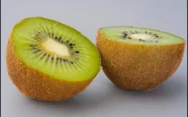 Quiz Culture g�n�rale