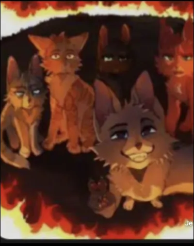 C�est Jolie Plume, Griffe de Ronce, Nuage Noir, Nuage d�&Eacute;cureuil et Pelage d�Orage :
