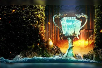 Quelle est la derni&egrave;re phrase prononc&eacute;e dans "Harry Potter et la Coupe de feu" dans le film ?