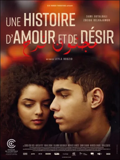 Qui chantait "Ma plus belle histoire d'amour" ?