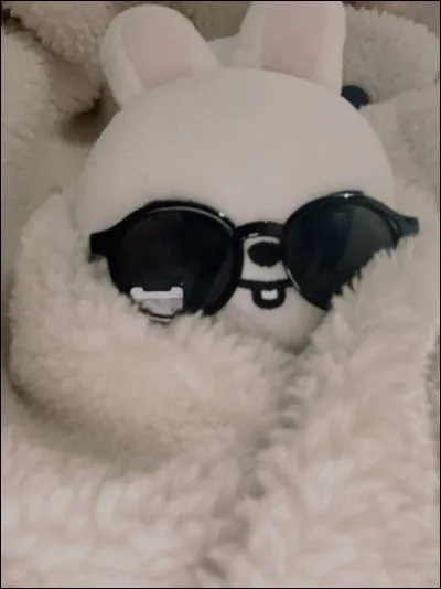 Qui est ton bias dans Stray Kids ?