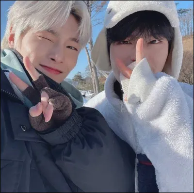 Qui est ton bias dans Stray Kids (2) ?