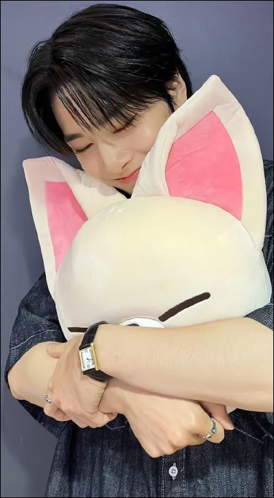 Qui est ton bias dans Stray Kids (3) ?