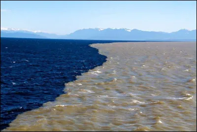 Cette image a &eacute;t&eacute; pr&eacute;sent&eacute;e &agrave; tort comme montrant la fronti&egrave;re entre les oc&eacute;ans Atlantique et Pacifique. On y voit en fait la rencontre du fleuve Fraser et du Pacifique. O&ugrave; cela se passe-t-il ?