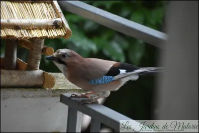 Pour des yeux noirs.