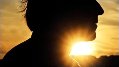 Quel chanteur est l�interpr&egrave;te du titre ''Le lundi au soleil'' ?