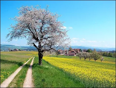 Comment se dit printemps en Allemagne ?