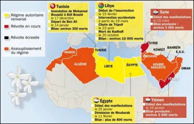 Quelles sont ces r&eacute;volutions nationales observ&eacute;es en 2010 ?