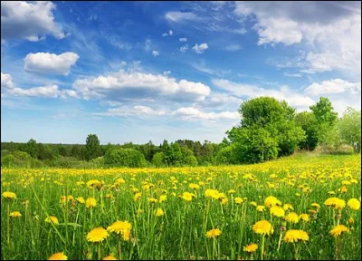 Cette saison est associ&eacute;e dans l'h&eacute;misph&egrave;re nord aux/&agrave;...