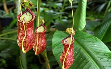 Quiz Test de personnalit�