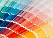 Quiz Tout en nuances n�8