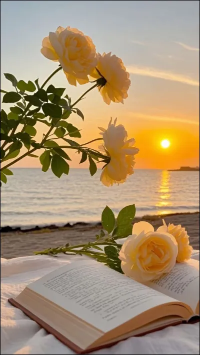 Quelle est ta couleur pr&eacute;f&eacute;r&eacute;e ? (2)