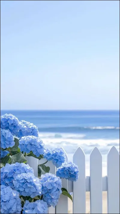 Quelques questions sur ta couleur. Est-elle froide ? (Oui si c'est le bleu, le vert ou le mauve. Non, si autre.)