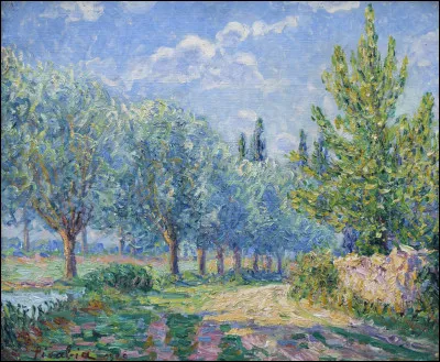 Quel milieu convient aux saules ?