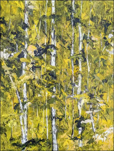 Des cicatrices sur une &eacute;corce lisse et grise nous font reconna&icirc;tre le...