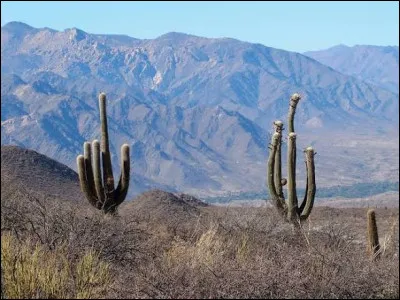 Lionel Messi, connu de tous, est un grand footballeur international argentin. Dans laquelle de ces villes est-il n&eacute; le 24 juin 1987 ?
