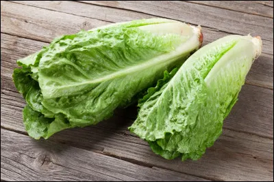 Si vous reconnaissez cette vari&eacute;t&eacute; de salade, donnez la bonne r&eacute;ponse :