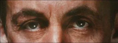 Ce sont les yeux de :