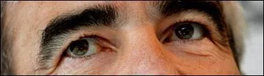 Ce sont les yeux de :