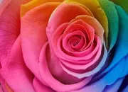 Test Quelle couleur te repr�sente ?