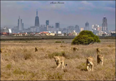 Anciennement un camp pour les travailleurs du chemin de fer, quelle est la capitale du Kenya ?