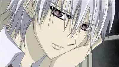 Qui est le frre de Zero Kiryu ?