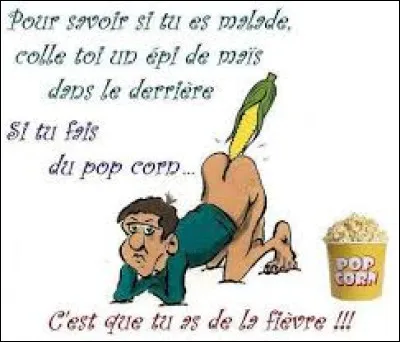 Quand on est malade et que l�on a de la temp&eacute;rature, on dit que l�on a une fi&egrave;vre...