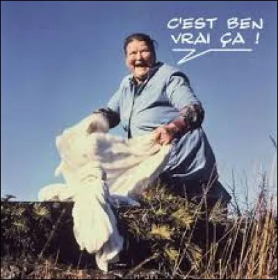 Pour quelle marque de lave-linge la M&egrave;re Denis est-elle rest&eacute;e c&eacute;l&egrave;bre pour ses publicit&eacute;s dans les ann&eacute;es 70 et 80 ?