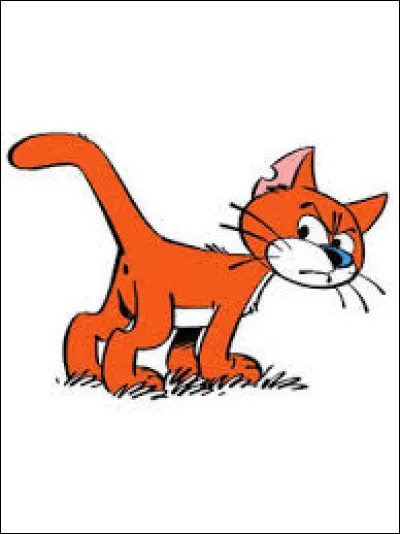 Dans la bande dessin&eacute;e ''Les Schtroumpfs'', quel est le nom du chat du vilain sorcier Gargamel ?
